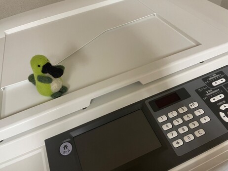緑色のカモノハシとリソグラフ機