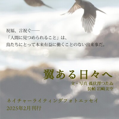 激しい潮が打ち付ける岩場を飛ぶ鳥の影。
『祝福、言祝ぐ
人間に見つめられることは鳥たちにとって本来有益に働くことのない出来事だ。
 
翼ある日々へ　文・写真　孤伏澤つたゐ　装幀　岩崎美空
ネイチャーライティングフォトエッセイ　2025年2月刊行』と書かれている。