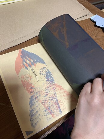 赤と青のインクで鳥の翼が印刷されている